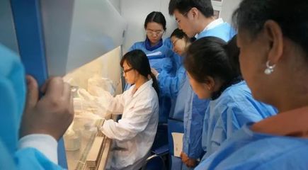 生物制剂 文化产业新蓝海中的科技引擎与财富密码